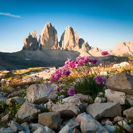 Ξενοδοχείο Bergland 3*