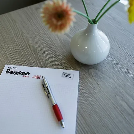 Hotell Bergland 3*